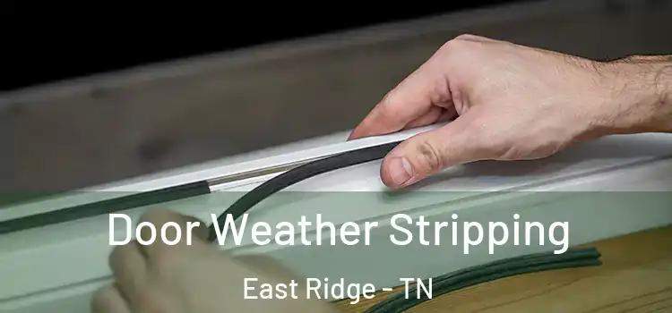 Door Weather Stripping East Ridge - TN