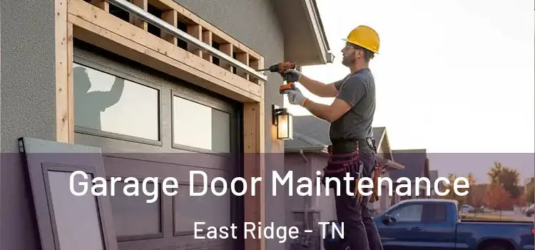 Garage Door Maintenance East Ridge - TN