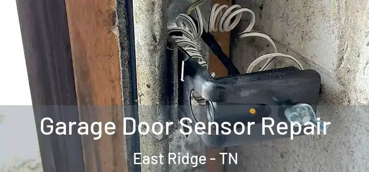 Garage Door Sensor Repair East Ridge - TN