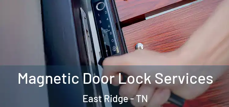 Magnetic Door Lock Services East Ridge - TN